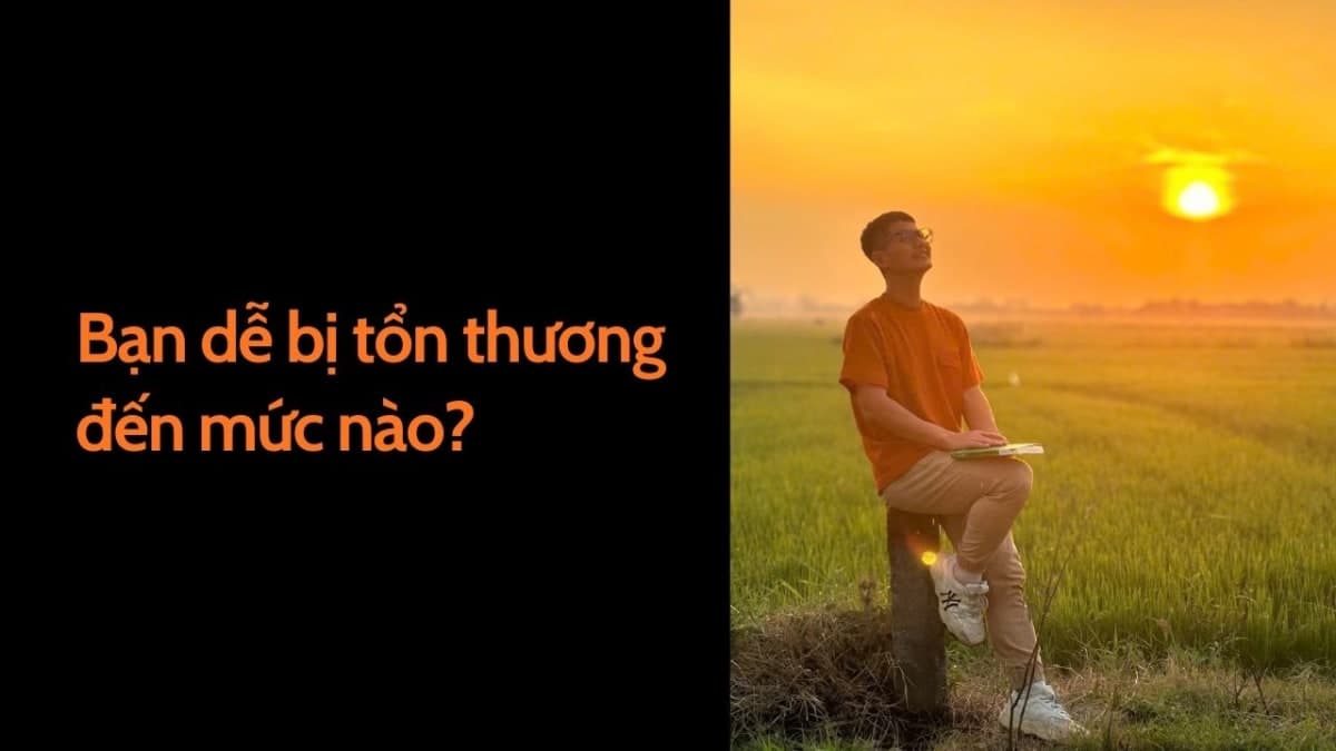 Bạn Dễ Bị Tổn Thương Đến Mức Nào?